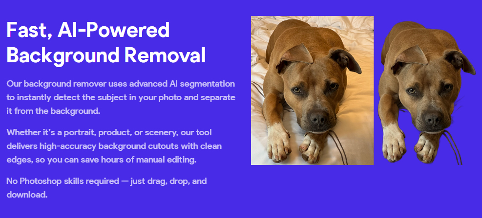 Using AI to create an Image Background Remover tool